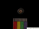 L_V22d6554 A16i8 T926 dM sh f49